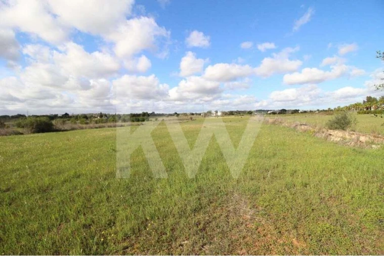 Terreno para Venda em Alcantarilha e Pêra Foto 23