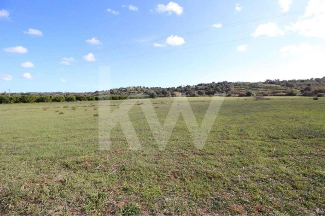 Terreno para Venda em Alcantarilha e Pêra Foto 24