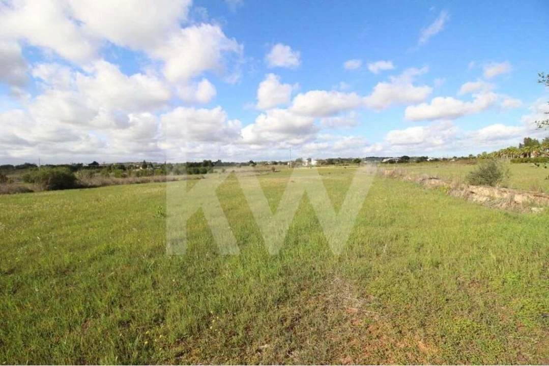 Terreno para Venda em Alcantarilha e Pêra Foto 23