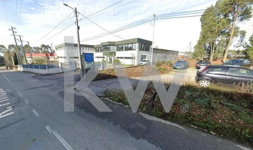 Terreno para Venda em Águeda e Borralha Foto 3