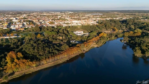 Terreno para Venda em Alpiarça