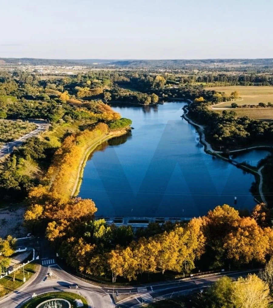 Terreno para Venda em Alpiarça Foto 5