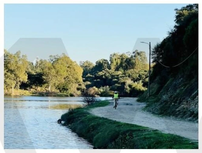 Terreno para Venda em Alpiarça Foto 27