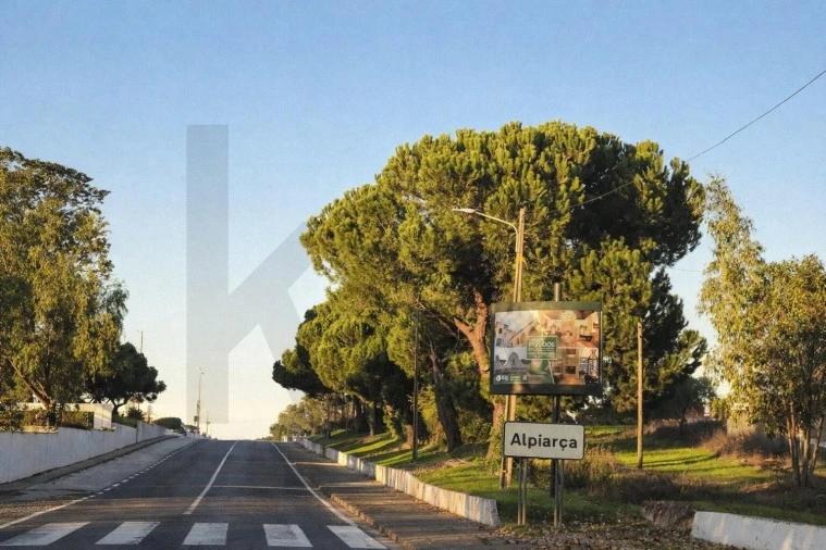 Terreno para Venda em Alpiarça Foto 19