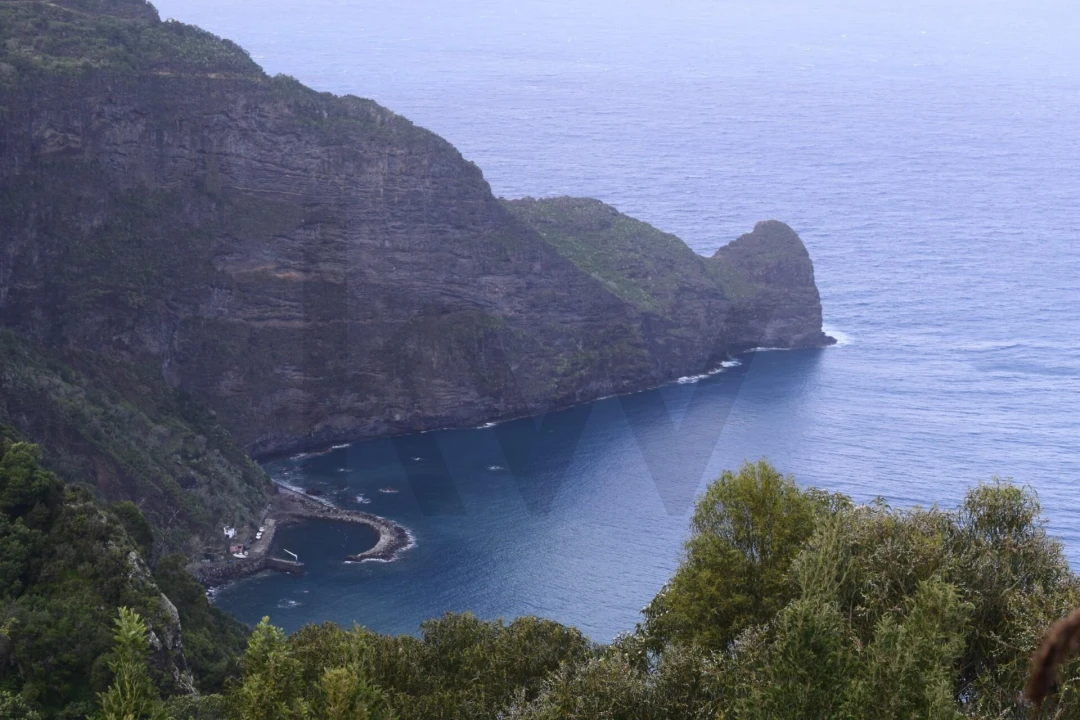 Terreno para Venda em São Roque do Faial Foto 5