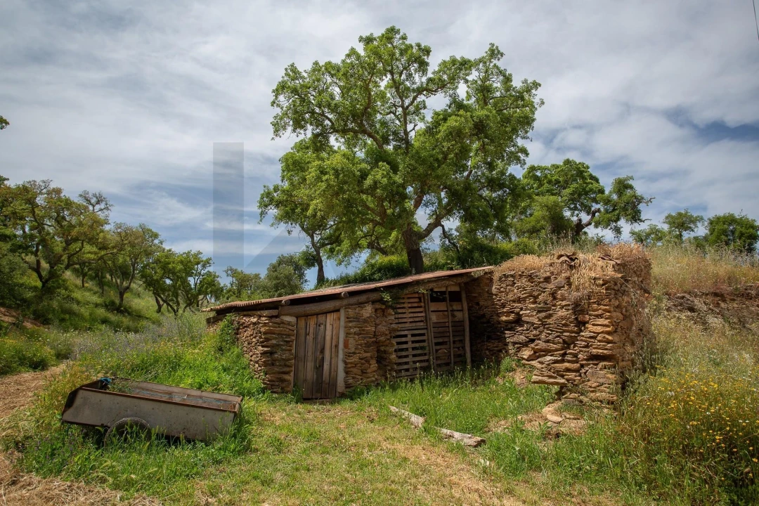 Quinta T2 para Venda em São Luis Foto 35