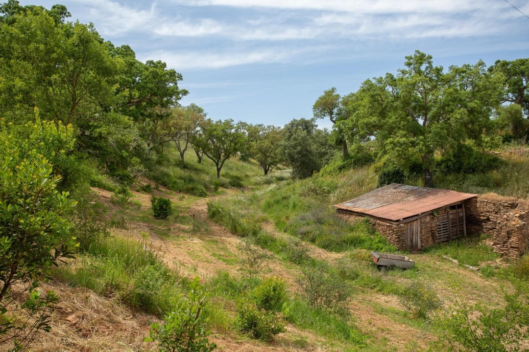 Quinta T2 para Venda em São Luis Foto 36