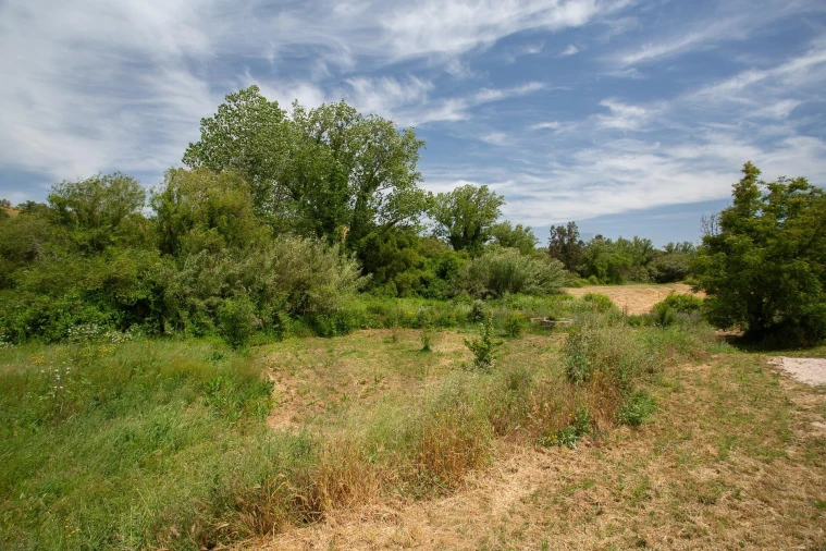 Quinta T2 para Venda em São Luis Foto 41