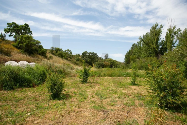 Quinta T2 para Venda em São Luis Foto 40