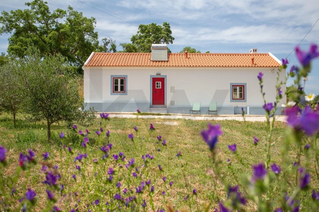 Quinta T2 para Venda em São Luis Foto 3