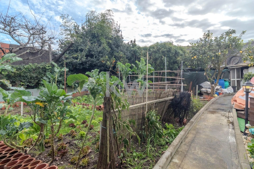 Moradia T4 para Venda em Rio Tinto Foto 38