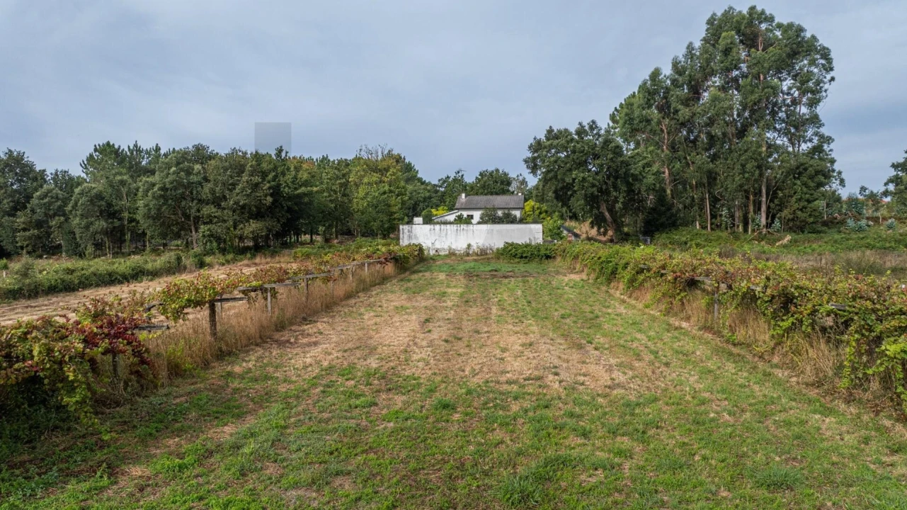 Moradia T2 para Venda em Riba de Ancora Foto 31