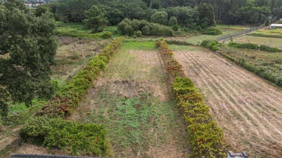 Moradia T2 para Venda em Riba de Ancora Foto 33