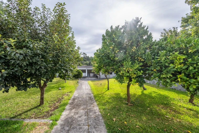 Moradia T2 para Venda em Riba de Ancora Foto 26