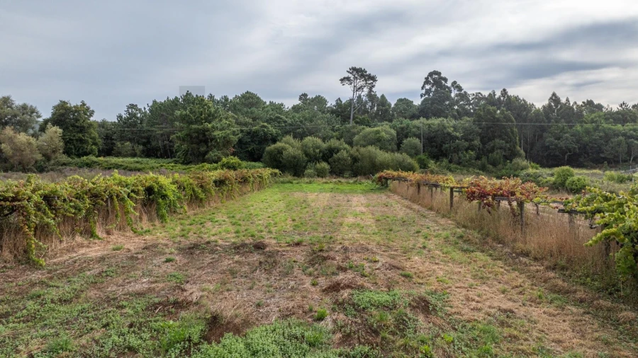 Moradia T2 para Venda em Riba de Ancora Foto 32