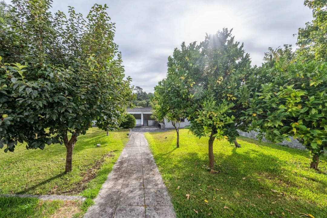 Moradia T2 para Venda em Riba de Ancora Foto 26