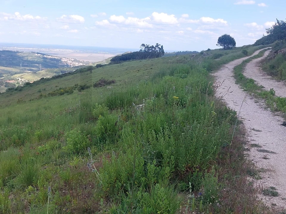 Quinta para Venda em Alhandra, São João dos Montes e Calhandriz Foto 8