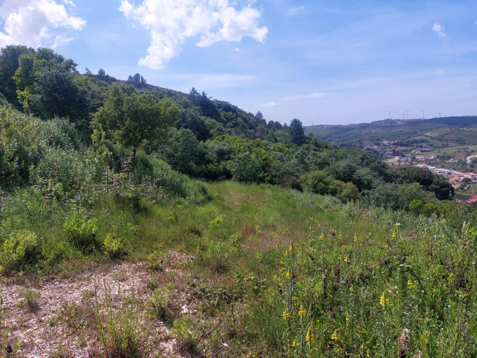 Quinta para Venda em Alhandra, São João dos Montes e Calhandriz Foto 12