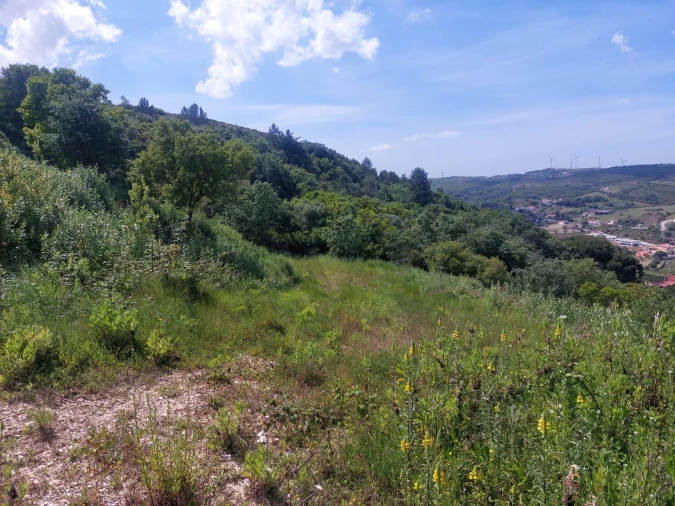 Quinta para Venda em Alhandra, São João dos Montes e Calhandriz Foto 12