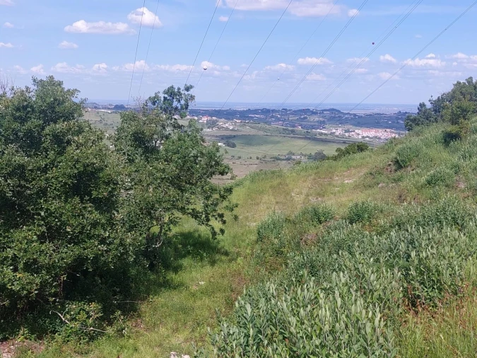 Quinta para Venda em Alhandra, São João dos Montes e Calhandriz Foto 11
