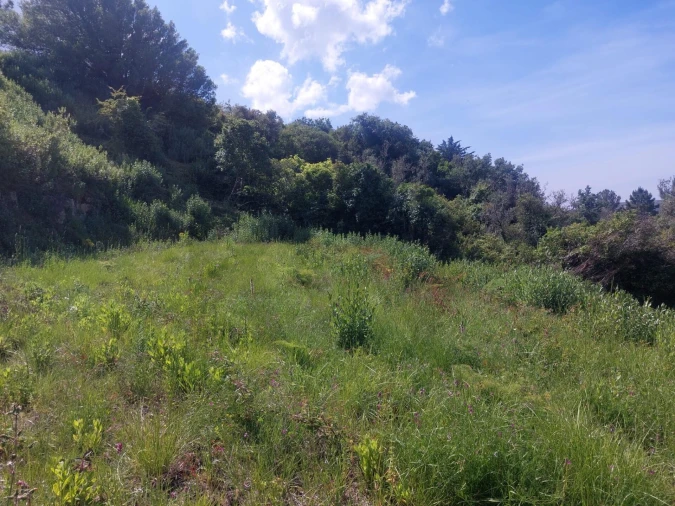 Quinta para Venda em Alhandra, São João dos Montes e Calhandriz Foto 13