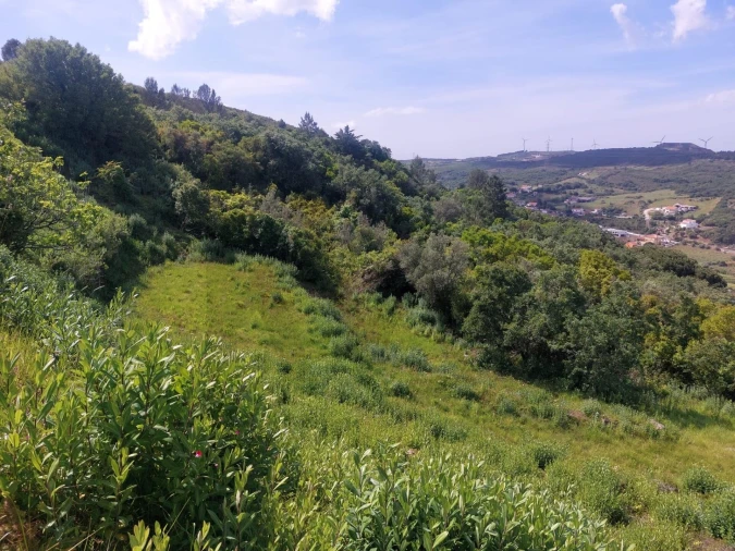 Quinta para Venda em Alhandra, São João dos Montes e Calhandriz Foto 14