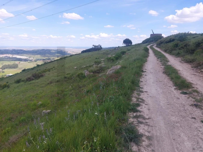 Quinta para Venda em Alhandra, São João dos Montes e Calhandriz Foto 10