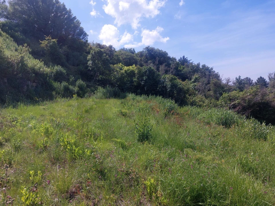 Quinta para Venda em Alhandra, São João dos Montes e Calhandriz Foto 13