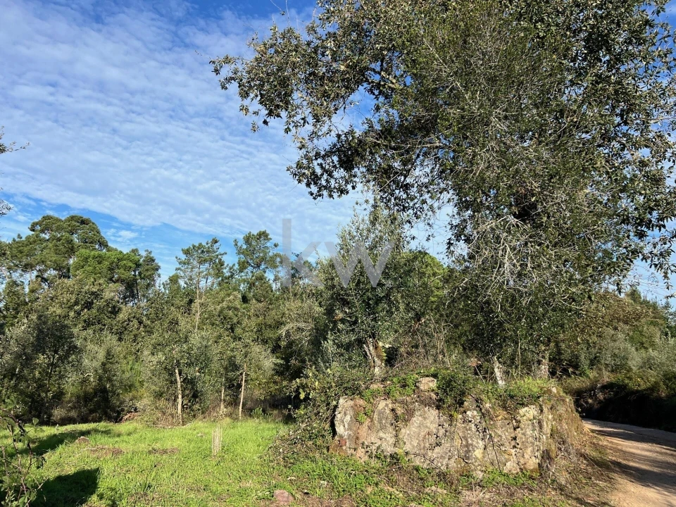 Terreno para Venda em Espinhal Foto 6