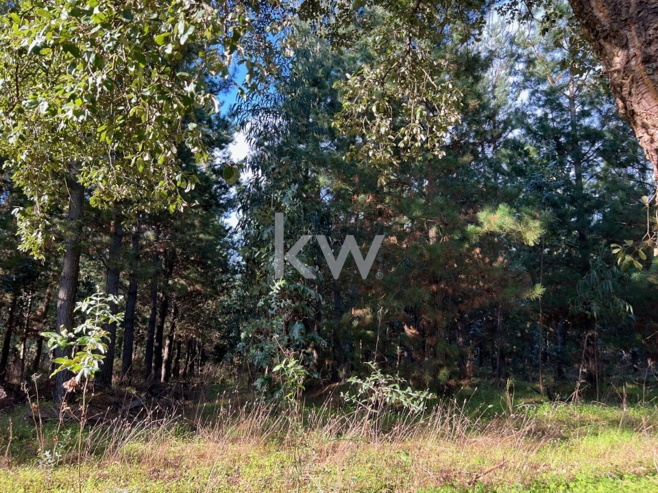 Terreno para Venda em Espinhal Foto 8