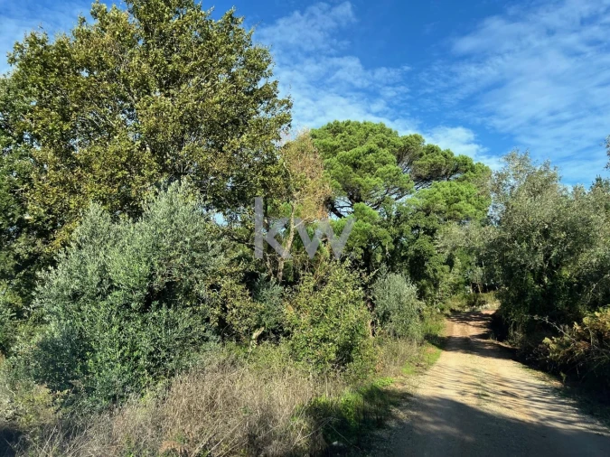 Terreno para Venda em Espinhal Foto 7