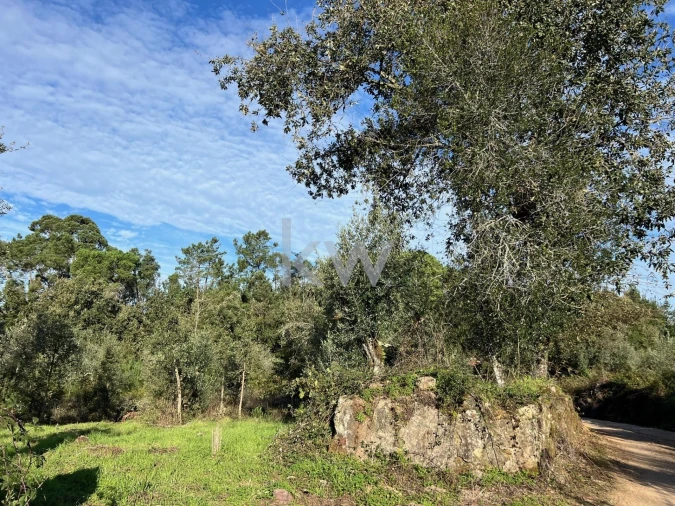 Terreno para Venda em Espinhal Foto 6