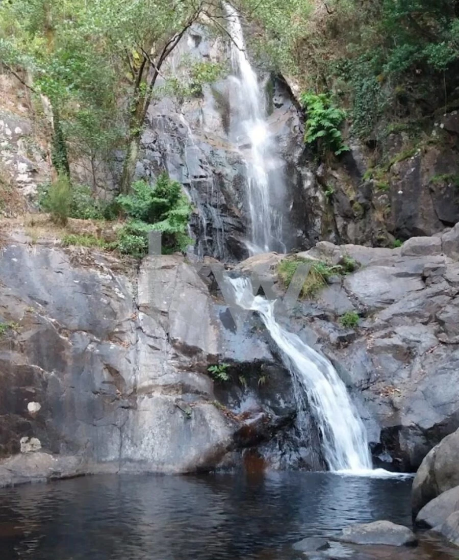 Terreno para Venda em Espinhal Foto 17