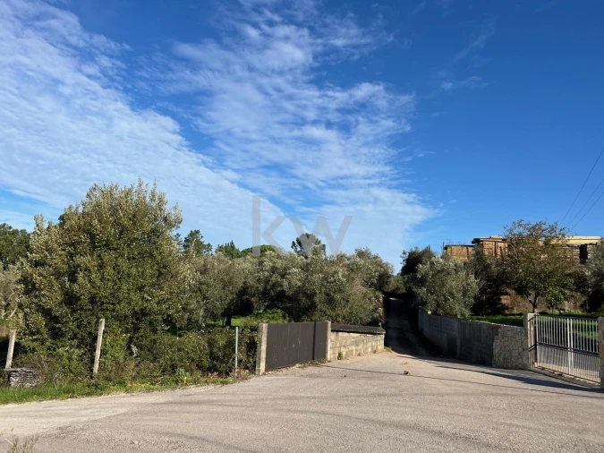 Terreno para Venda em Espinhal Foto 4