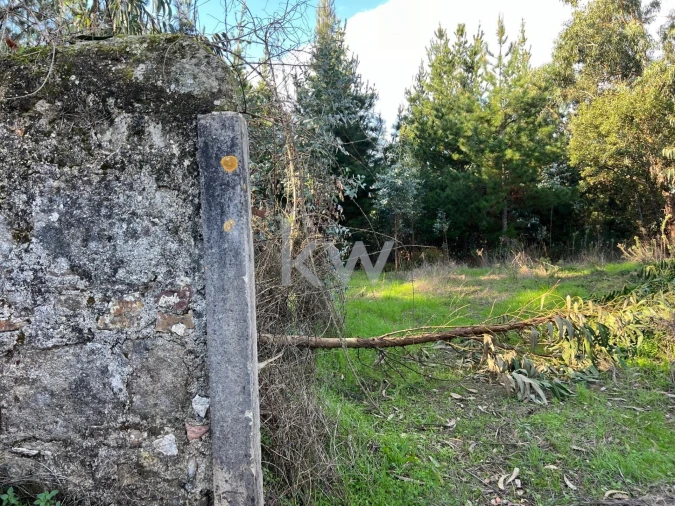 Terreno para Venda em Espinhal Foto 9