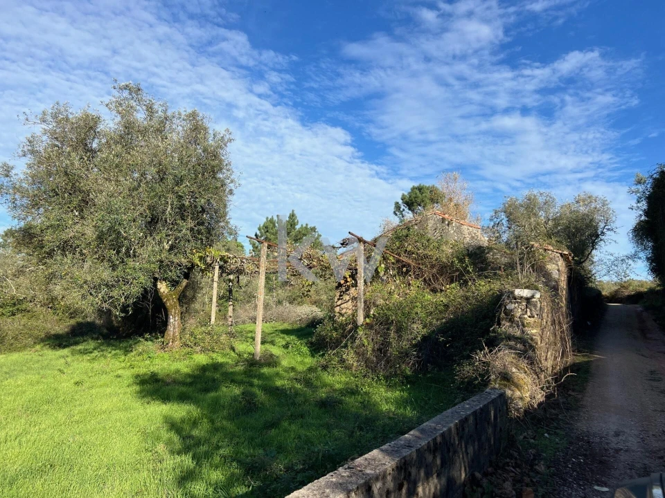 Terreno para Venda em Espinhal Foto 5