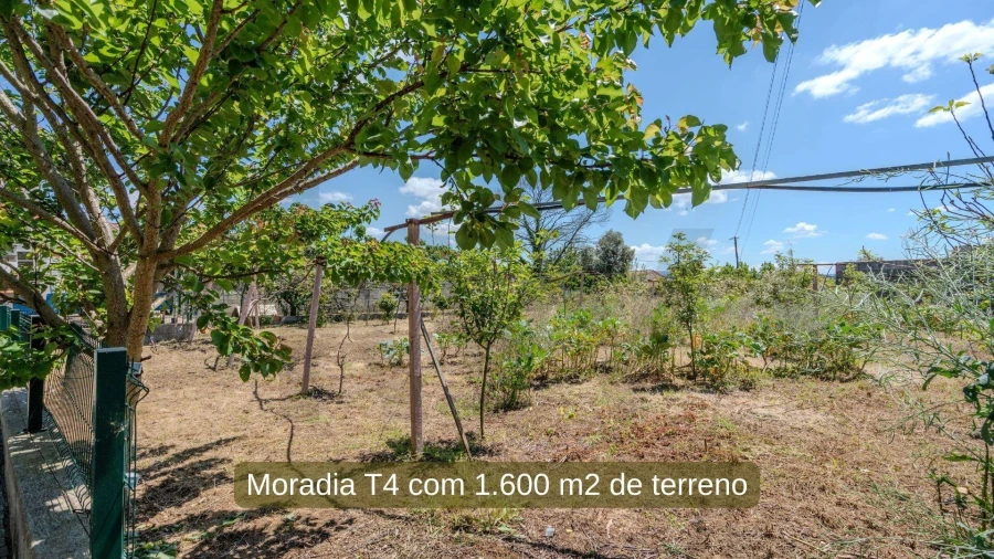 Moradia T4 para Venda em Águeda e Borralha Foto 20