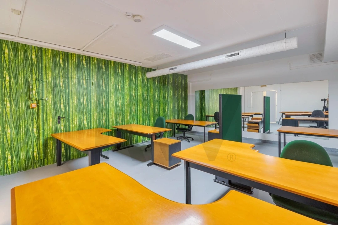 Escritório para Venda em Ericeira Foto 53