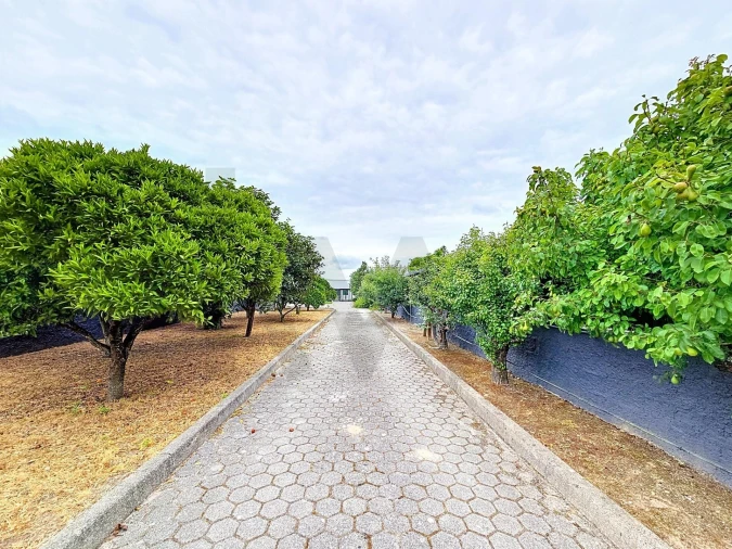 Moradia T3 para Venda em Vagos e Santo António Foto 32