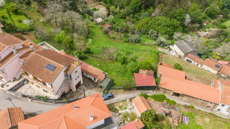 Terreno para Venda em Figueira de Lorvão Foto 6