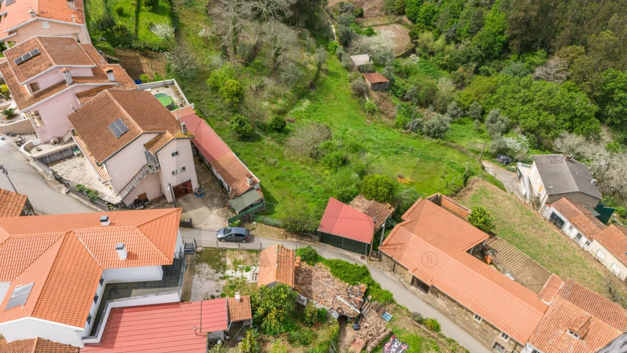 Terreno para Venda em Figueira de Lorvão Foto 7