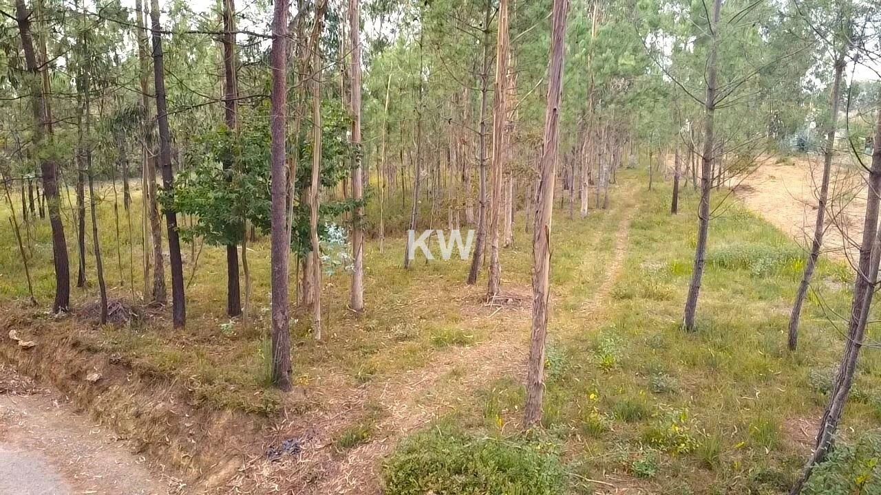 Terreno para Venda em São Miguel do Souto e Mosteirô Foto 12