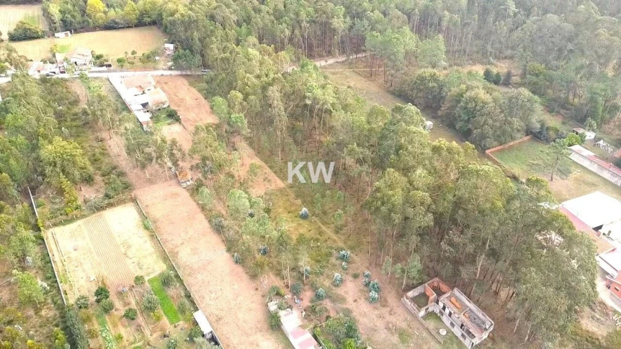 Terreno para Venda em São Miguel do Souto e Mosteirô Foto 5