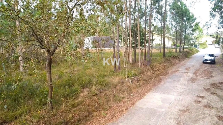 Terreno para Venda em São Miguel do Souto e Mosteirô Foto 15
