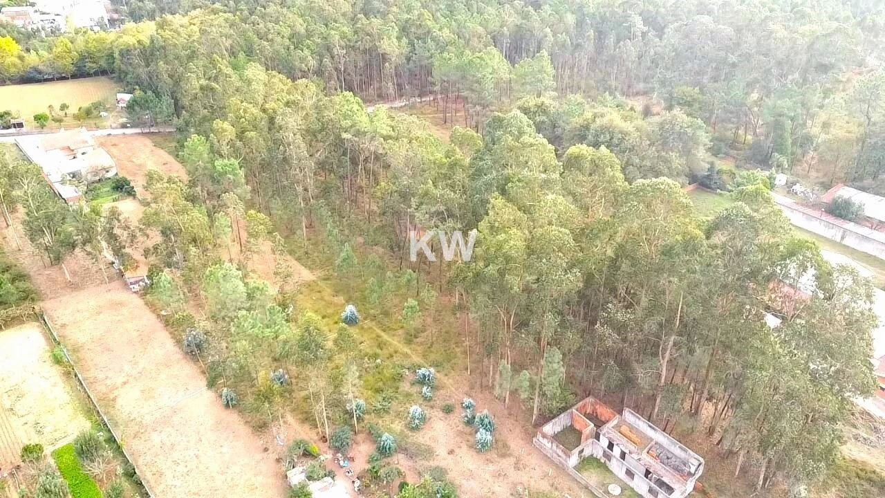Terreno para Venda em São Miguel do Souto e Mosteirô Foto 6