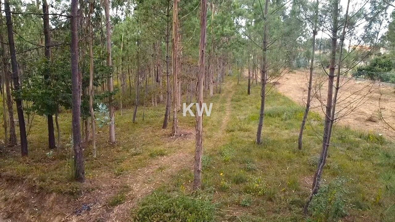 Terreno para Venda em São Miguel do Souto e Mosteirô Foto 11