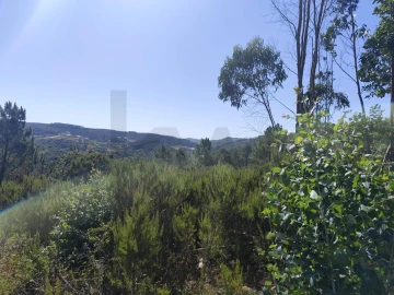 Terreno para Venda em Mafra