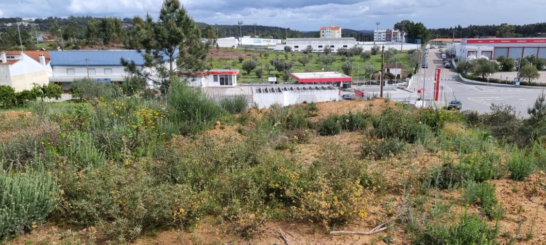 Terreno para Venda em Mação, Penhascoso e Aboboreira Foto 10