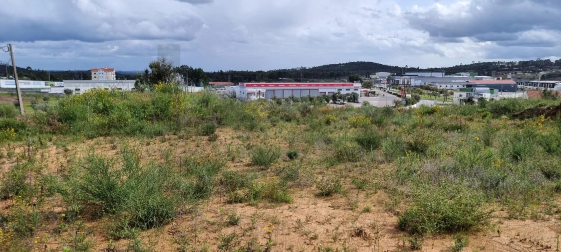 Terreno para Venda em Mação, Penhascoso e Aboboreira Foto 9