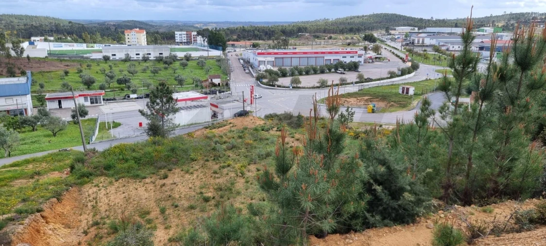 Terreno para Venda em Mação, Penhascoso e Aboboreira Foto 12